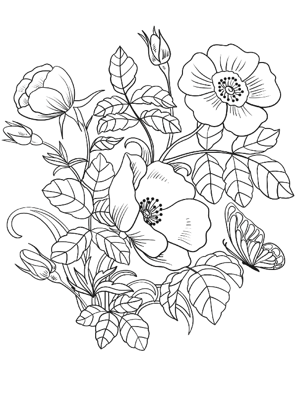 Kleurplaten Bloemen Kleurplaat Vogels En Bloemen Images And Photos